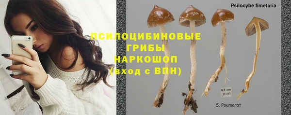 MESCALINE Каменногорск