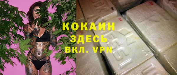 гидра Карталы