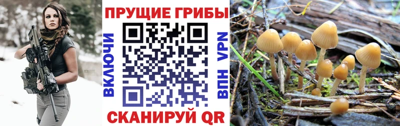 Псилоцибиновые грибы мухоморы  Купить  Малмыж 